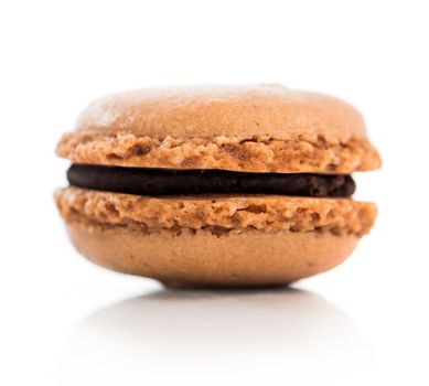 chocolate cookies macaroon isolated on a white background