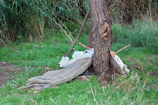 Mattress under a tree. Homeless camp behind reed plants.