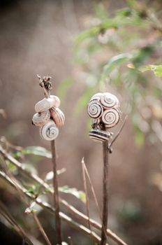small snails on stem plant