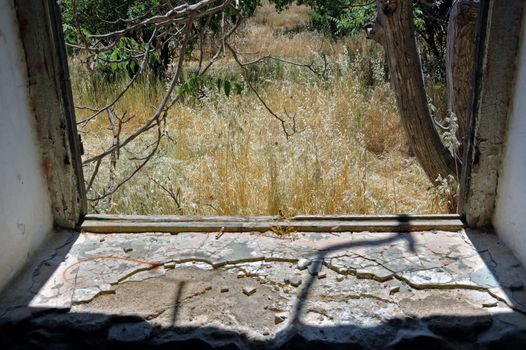 View to nature scene from the window of an abandoned rural house.