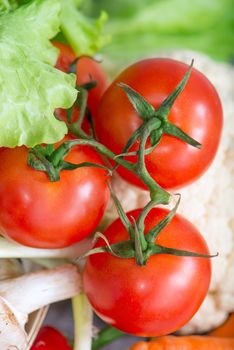 tomatoes with fresh colorful vegetables on table