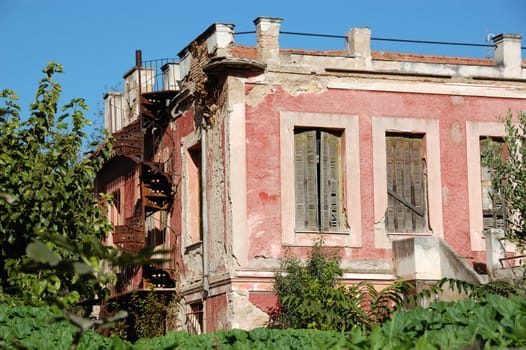 Overgrown plants in the garden of an abandoned neoclassical house.