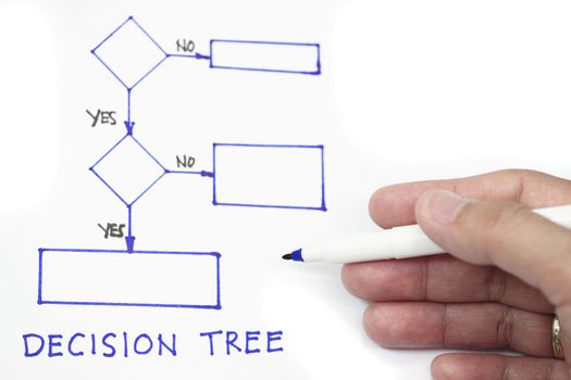 A sample flowchart for decision making procedure 
