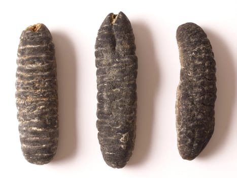 close up of dried sea cucumber