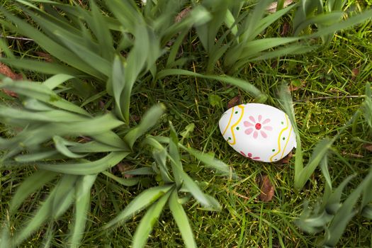 Painted Easter egg hidden in the grass and bulbs.