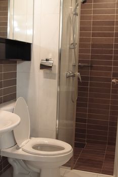 Modern toilet in home with shower  and lavatory.