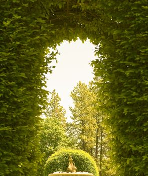 Outdoor Park Archways over a Paved Path on a Sunny Day