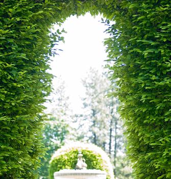 Outdoor Park Archways over a Paved Path on a Sunny Day