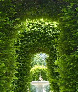 Outdoor Park Archways over a Paved Path on a Sunny Day