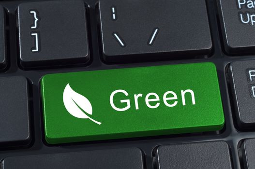 Green button keyboard with icon leaf. Ecology and environment concept.