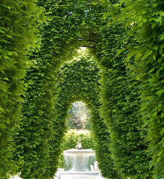 Outdoor Park Archways over a Paved Path on a Sunny Day