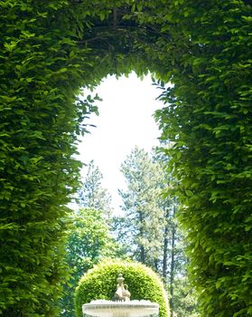 Outdoor Park Archways over a Paved Path on a Sunny Day