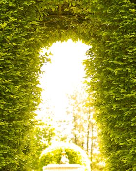 Outdoor Park Archways over a Paved Path on a Sunny Day