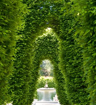 Outdoor Park Archways over a Paved Path on a Sunny Day