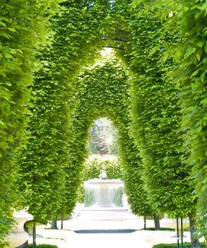 Outdoor Park Archways over a Paved Path on a Sunny Day