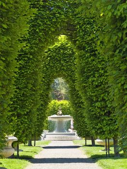 Outdoor Park Archways over a Paved Path on a Sunny Day