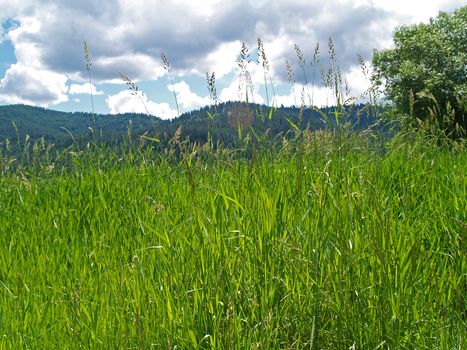 Grassy Field with Mountains and a Partly Cloudy Blue Sky in Background