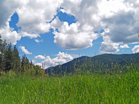 Grassy Field with Mountains and a Partly Cloudy Blue Sky in Background