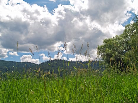 Grassy Field with Mountains and a Partly Cloudy Blue Sky in Background