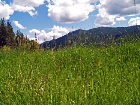 Grassy Field with Mountains and a Partly Cloudy Blue Sky in Background