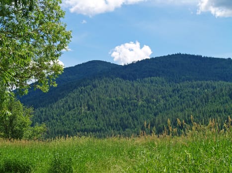 Grassy Field with Mountains and a Partly Cloudy Blue Sky in Background