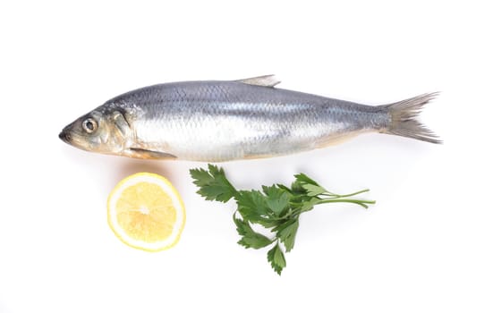 fish with lemon and parsley isolated on white