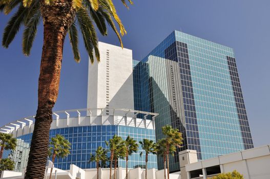 Palm trees grow in the foreground of this glass paneled office tower in downtown Riverside, California.