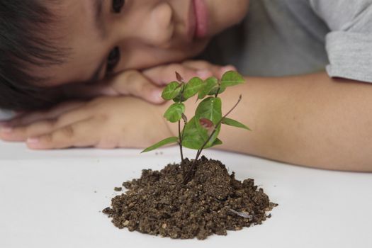 Investment concept - boy watching  a seedling in a white paper.