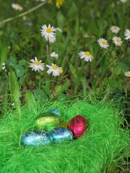 Colorful Easter eggs decorated in the grass