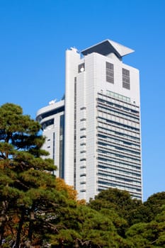 A Japanese autumn park and white skyscraper in Tokyo
