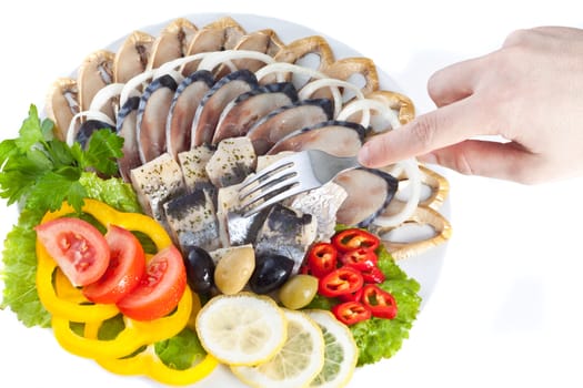 tasting various sliced fish for your web site isolated