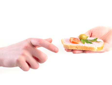 tasting toast with fish caviar cream isolated