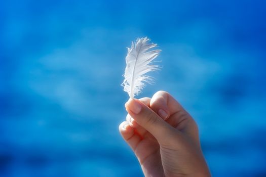 Hand holding a feather in front of blue natural background