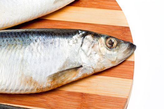 close up of Fish isolated on white for site