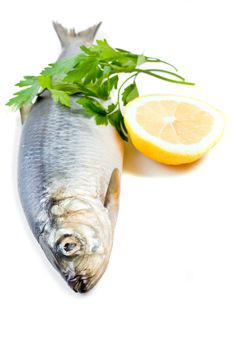 fish with lemon isolated on white background