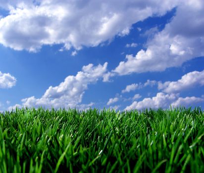blue sky with cloud and gras in front