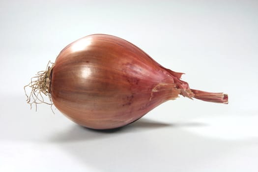 vegetables dry onion closeup in white background