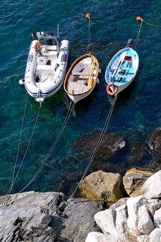 Three motorboats bow moored  near rocky shore with buoys astern