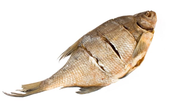 isolated stockfish bream on white background