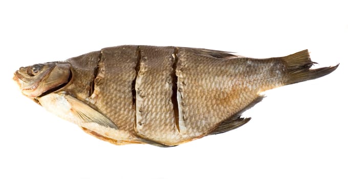 isolated stockfish bream on white background