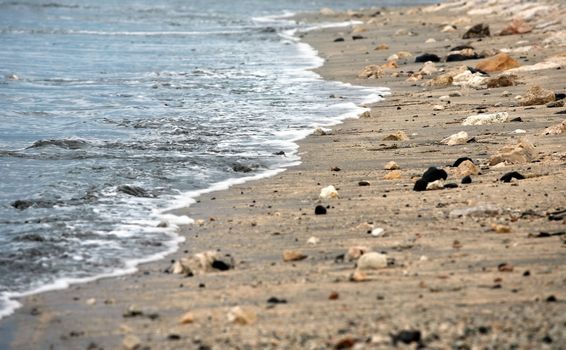 Beach in the winter period