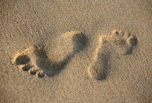 Pair prints of female legs on sand