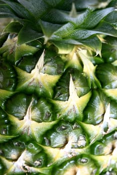 Close up macro shot of tropical pineapple fruit