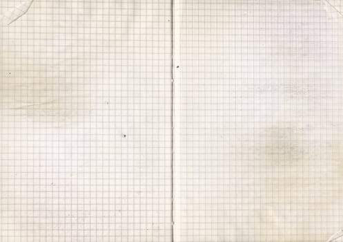 Highly detailed grungy notebook  paper. Great grunge background for your projects.