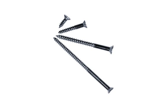 selection of steel woodscrews on a white background for site