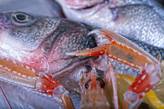 Fresh Adriatic seafood on ice , close up photo with shallow DOF