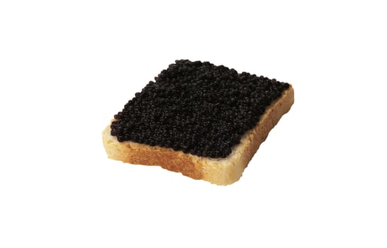 Black caviar sandwich isolated on white background