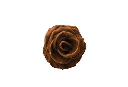 chokolate rose isolated on a white background