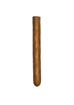 isolated long elegant brown cigar on white