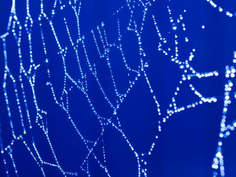 Bluetone Spider Web Abstract with Sparkling Dew Drops Selective Focus